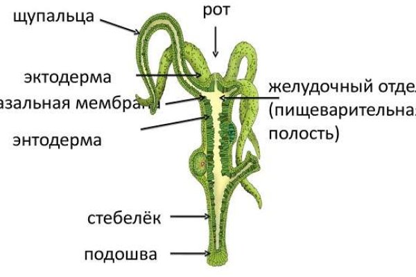 Как зарегаться на кракене