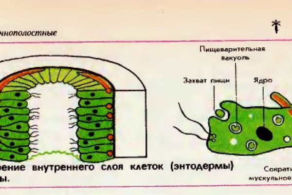 Кракен ссылка gigageek ru